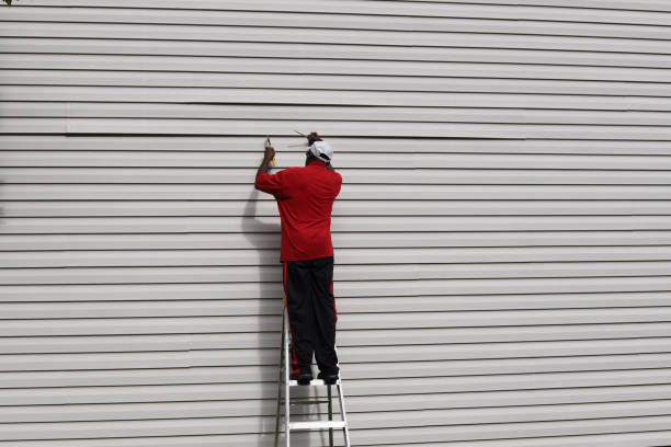 Professional Siding Installation & Repair in Camdenton, MO