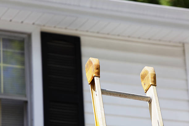 Best Insulated Siding Installation  in Camdenton, MO