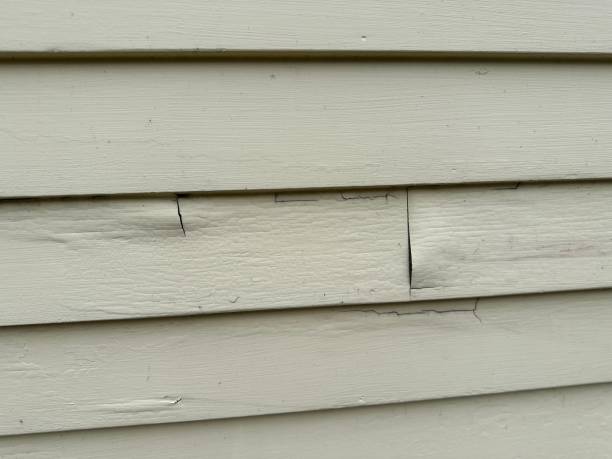 Best Storm Damage Siding Repair  in Camdenton, MO